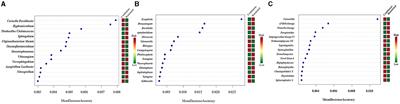 Tobacco crop rotation enhances the stability and complexity of microbial networks